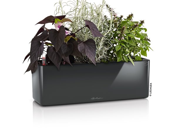 CUBE-Glossy-Triple-Main-Image.jpg