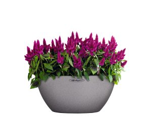 CUBETO Stone 30 Bowl