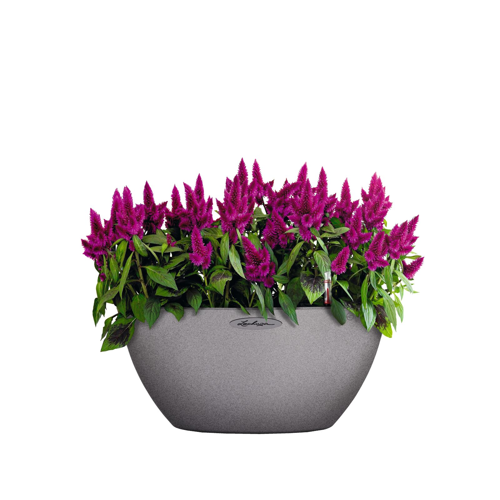 CUBETO Stone 30 Bowl
