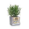 Canto-Stone-14-Spec-Images3.png
