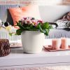 Classico-Color-18-Image-1-scaled-1.jpg