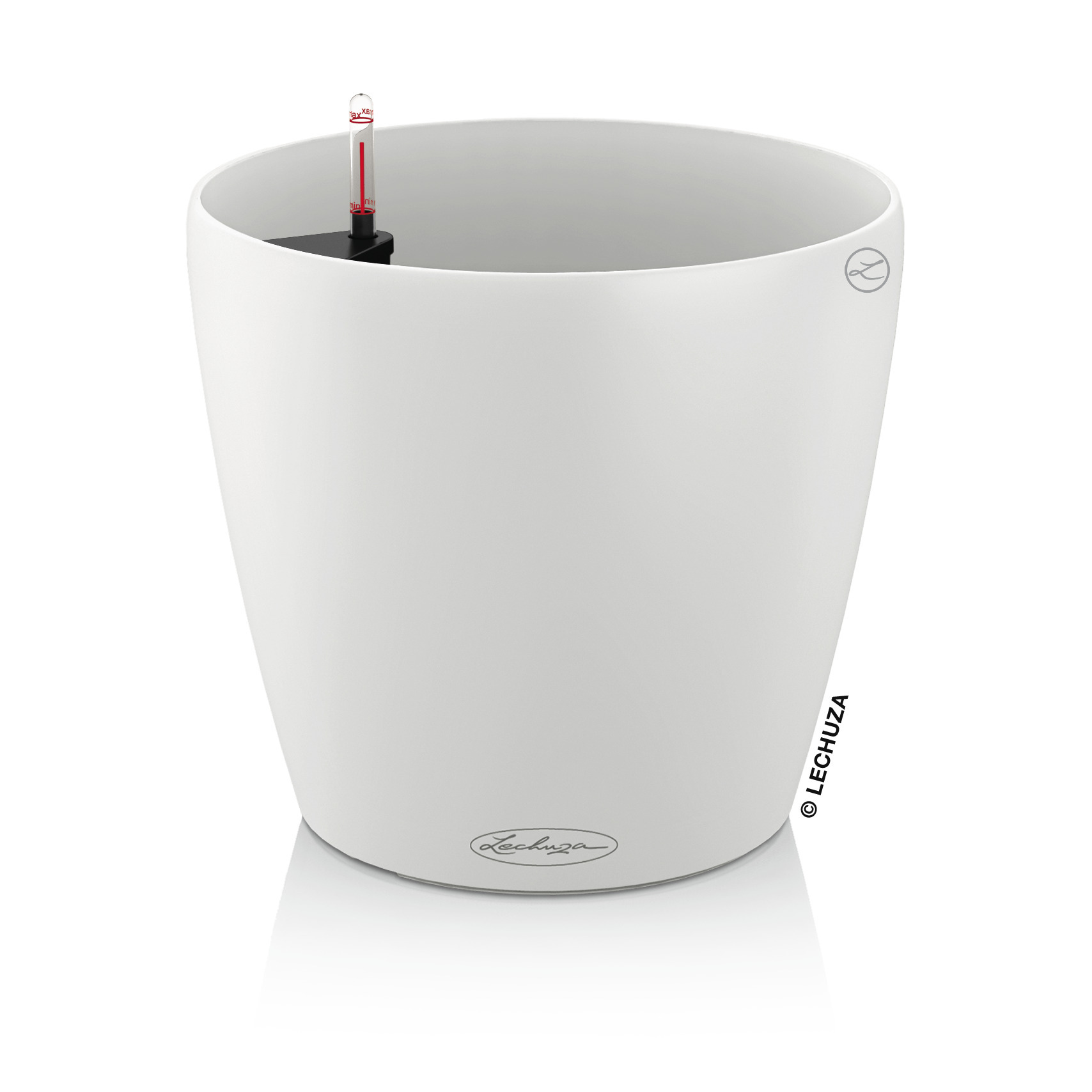 Classico-Color-1White.jpg