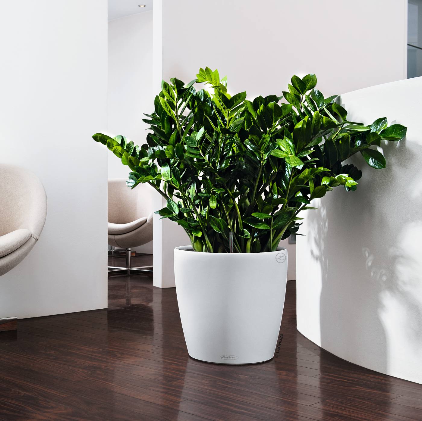 Classico-Color-35-Image-2.jpg