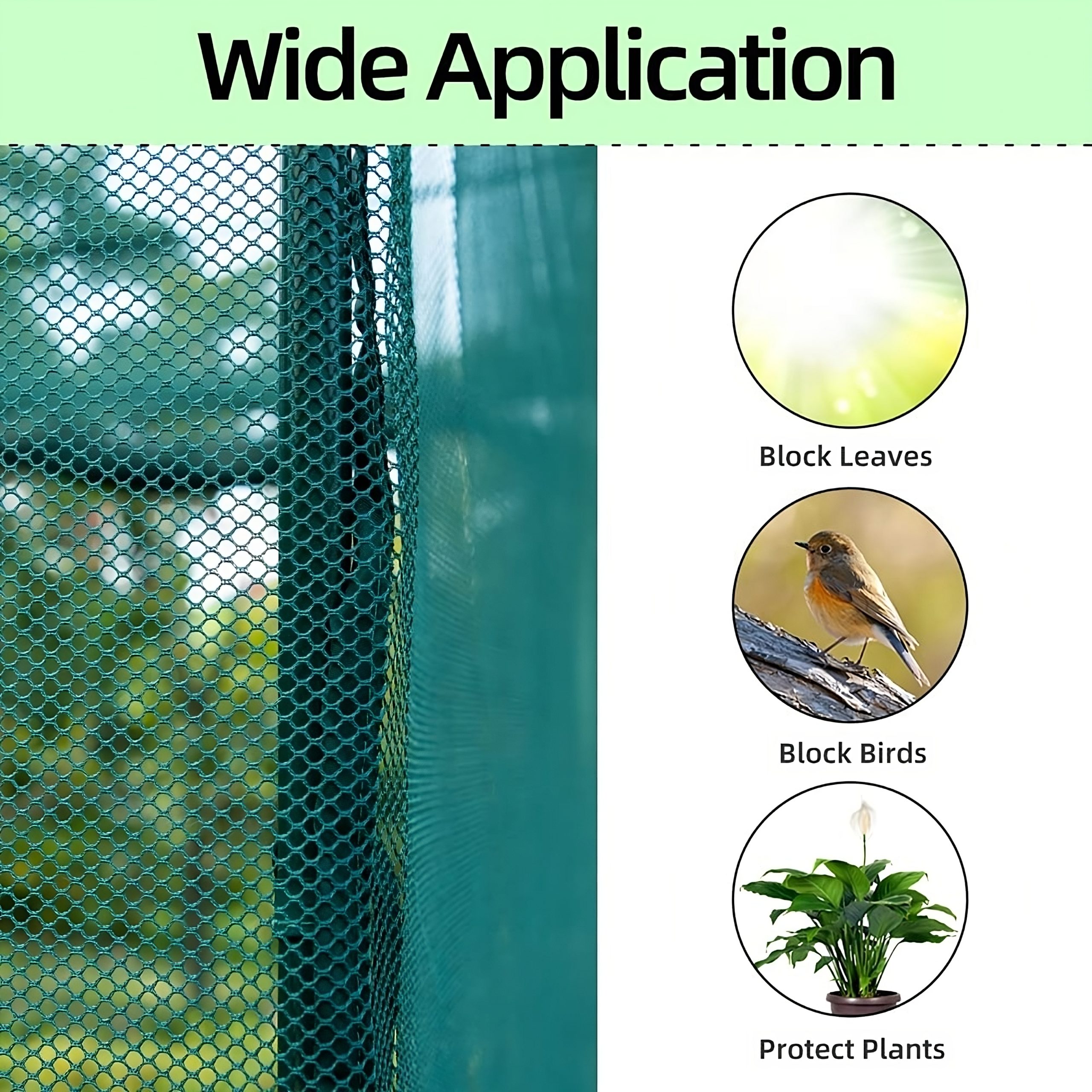 Crop-Cage-Image-3-scaled-1.jpeg