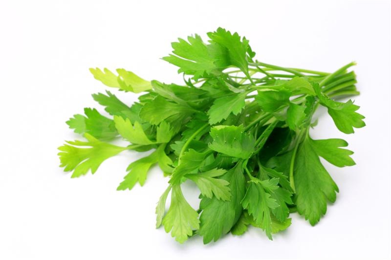 Italian-Parsley.jpg