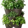 Ivy-2-1-scaled-1.jpg