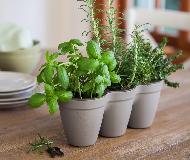 3 Herbs Planter Kit (Grey)
