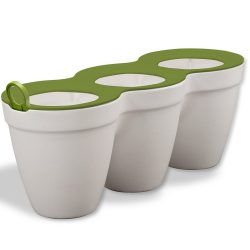 Ivy-Herb-White-10.jpg