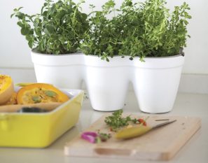 Ivy Herb Planter (White)