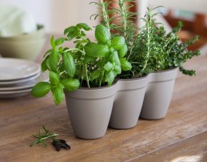 Ivy Herb Planter (Grey)
