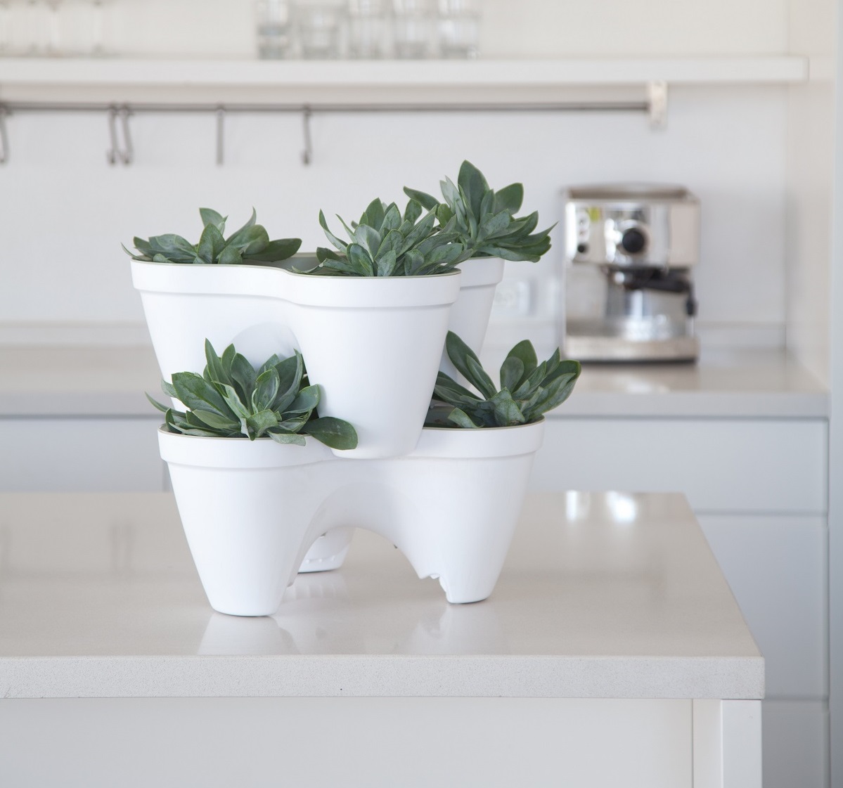 Ivy-Planter-White-61.jpg