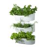 Kamelia-Grey-With-Plants.jpg