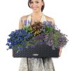 LECHUZA_BALCONERA_COTTAGE_50_granit_Arrangement_Modell_Freisteller_3-1.jpg