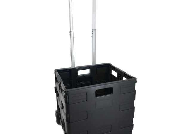 Large-Cart_Main-Image.png
