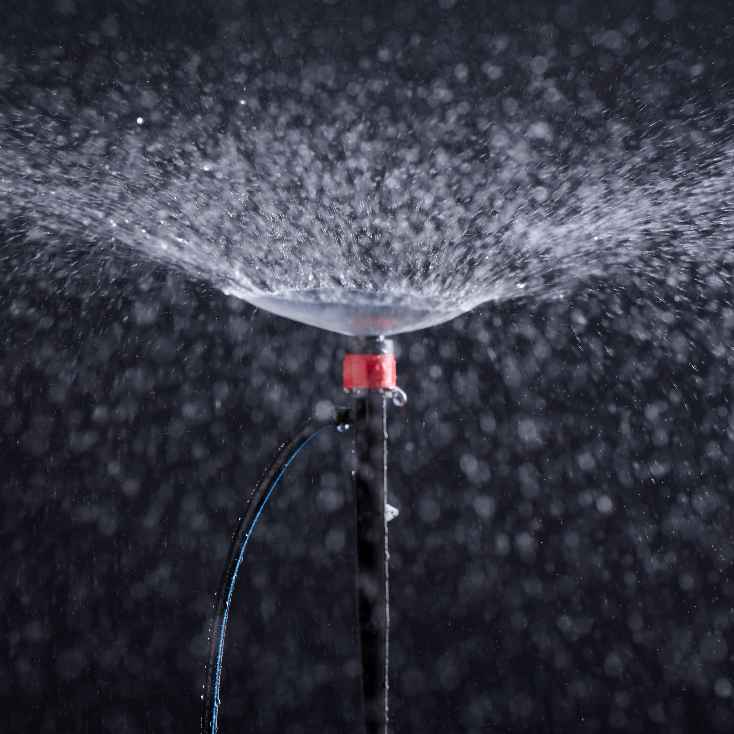Micro-Sprayers-5-scaled-1.jpg