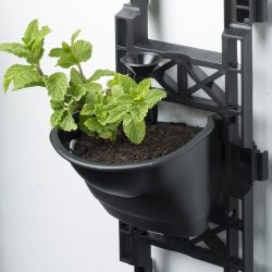 New-Vertical-Garden-1.jpg
