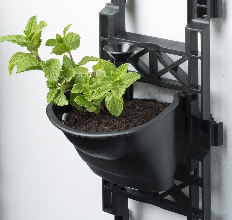 New-Vertical-Garden-1.jpg
