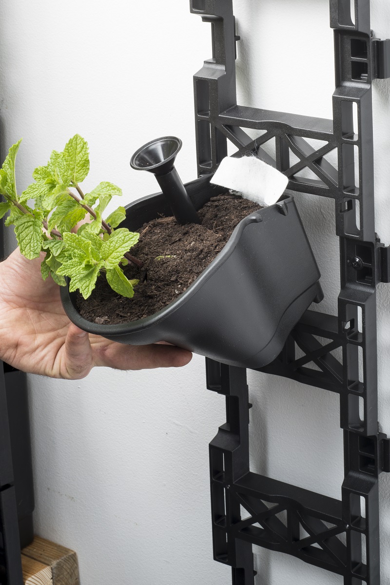 New-Vertical-Garden-14.jpg