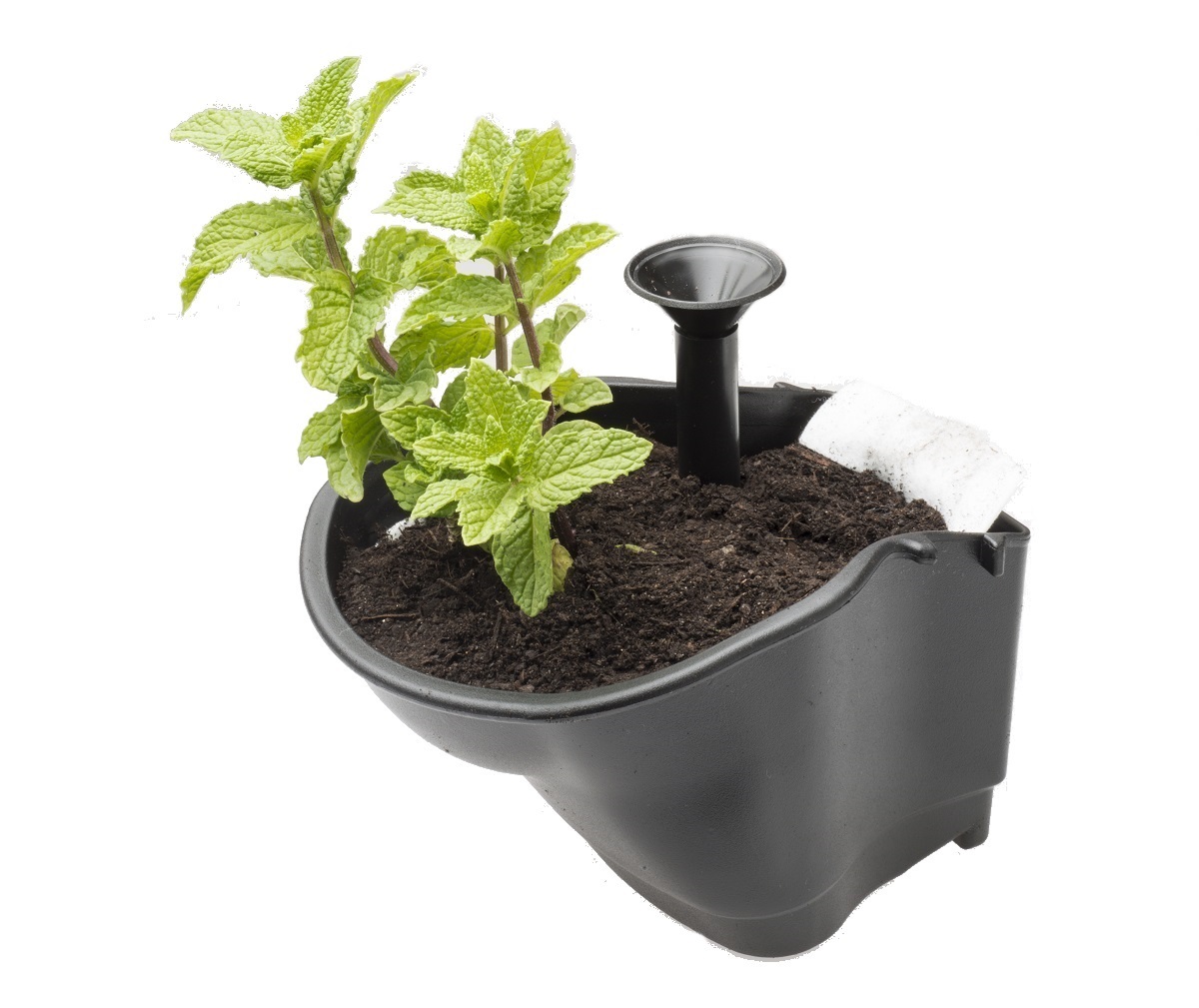 New-Vertical-Garden-7.jpg