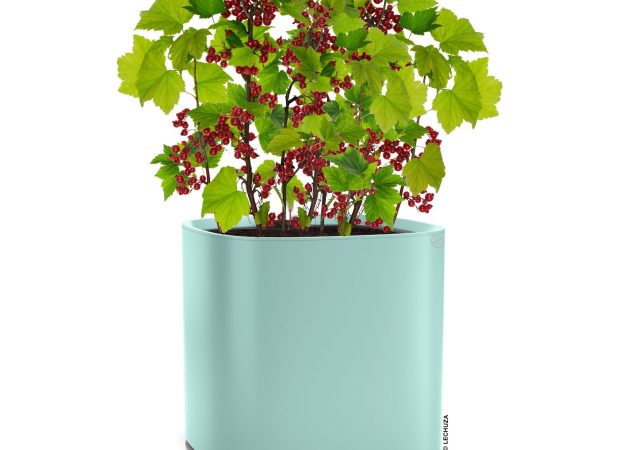PILA-Planter-Main-Image.png
