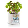 PILA-Planter-Spec-Image3.png