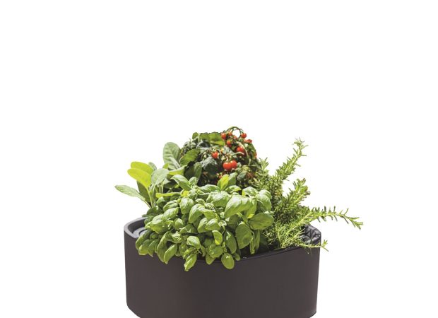 PILA-Stick-Growpot-Main-Image.png