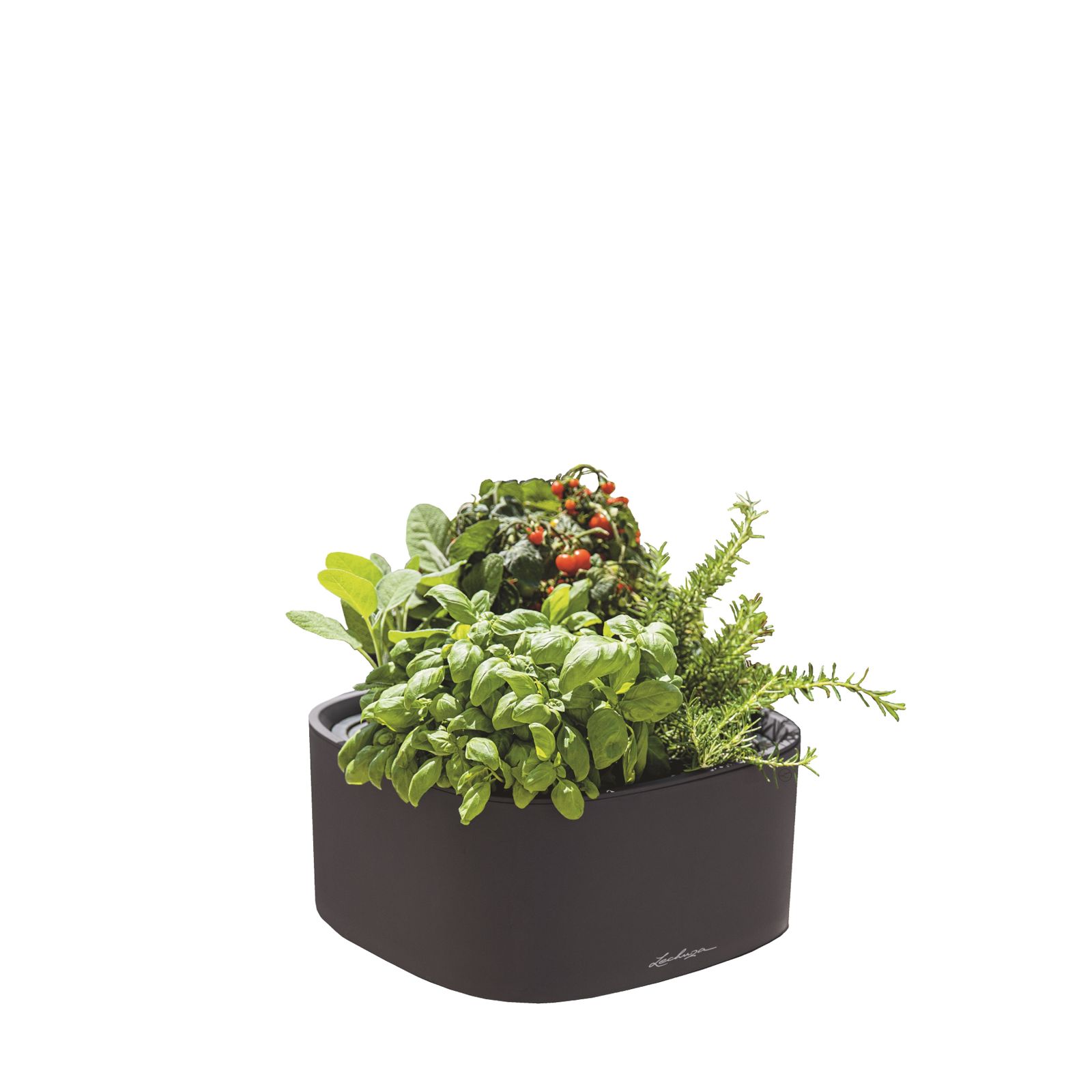 PILA Stick Growpot