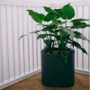 Planter1.png
