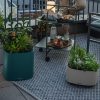 Planter_Stick-1-scaled-1.jpg
