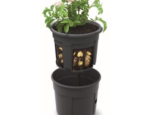 Potato Grower Planter 300