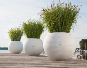 PURO COLOR 50 Self Watering Pot