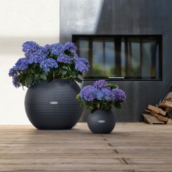 Puro-Colour-50-9.jpg