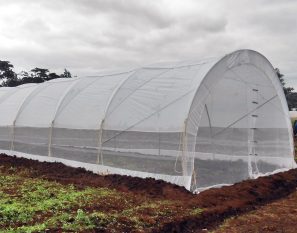 6 x 15m Tunnel Greenhouse with Side Curtains  - STK COMPACT