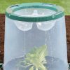 Sunny-Cloche-Image-5.jpg