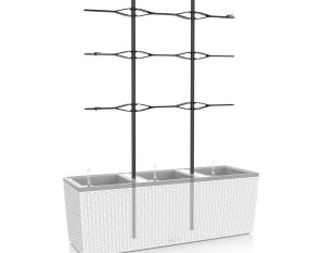 Trellis for TRIO 30