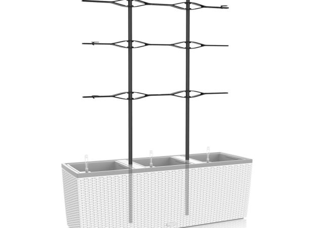 Trellis-30-Main-Image.png