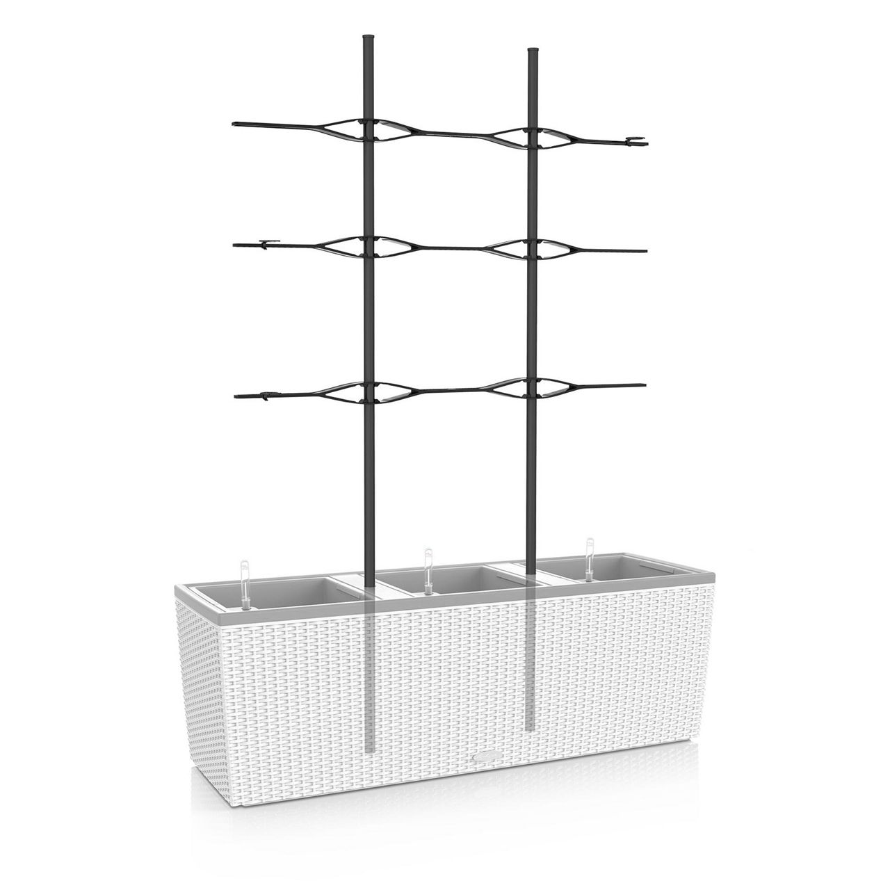 Trellis for TRIO 30