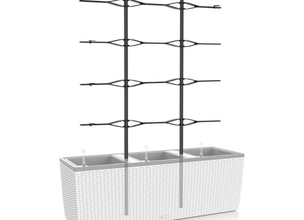 Trellis-40-Main-Image.png
