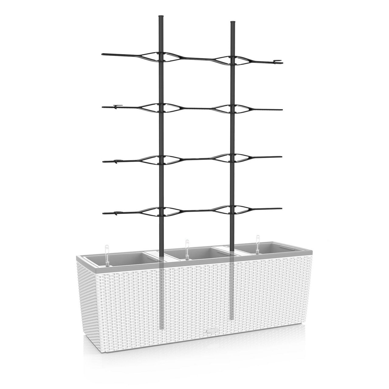 Trellis for TRIO 40