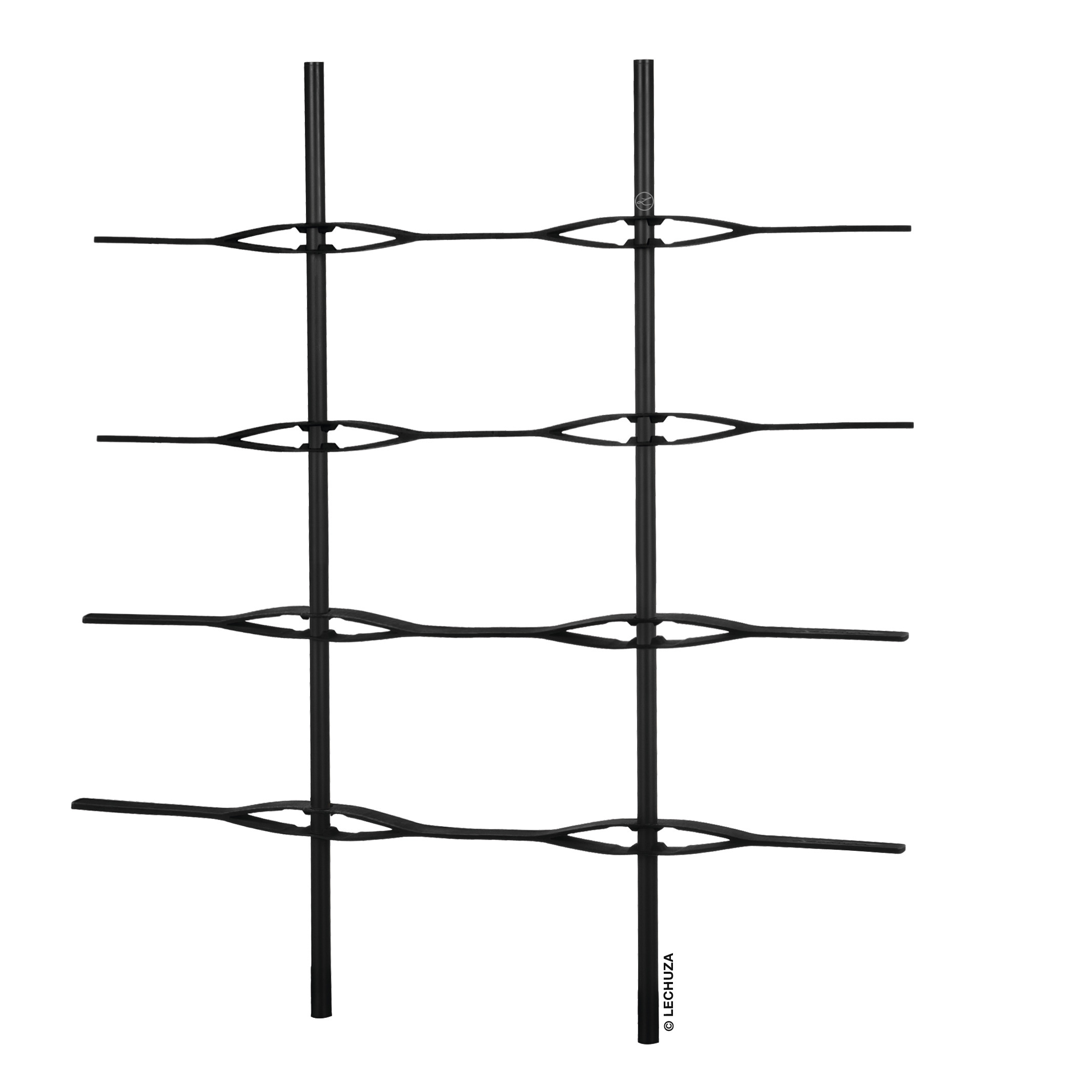 Trellis-Image-3.jpg