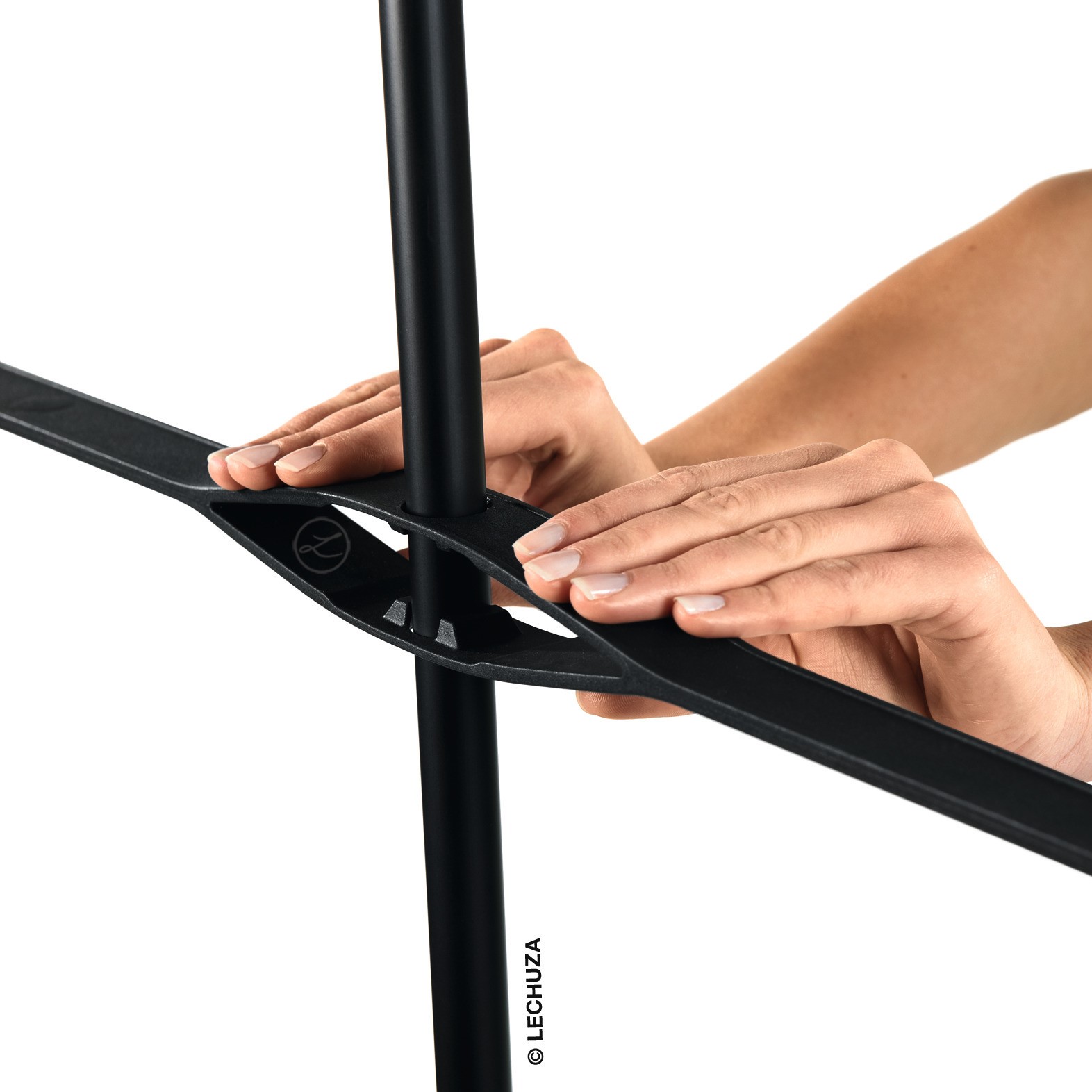 Trellis-Image-4.jpg