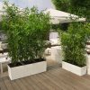 Trio-Cottage-3040-1-scaled-1.jpg