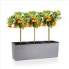 Trio-Stone-30-Main-Image-1.png