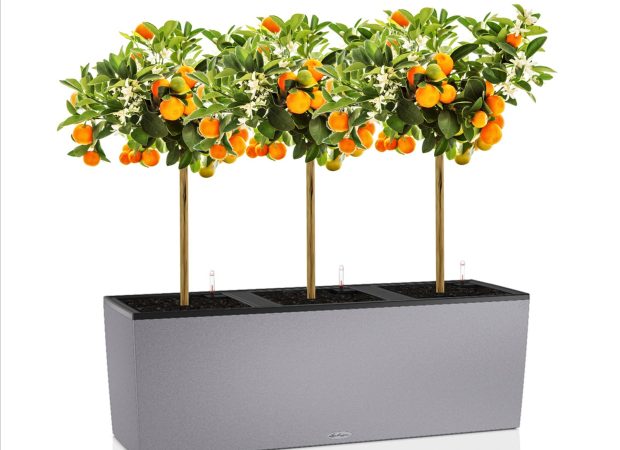 Trio-Stone-30-Main-Image-1.png