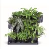 Vertical-Garden-CASCADE-Image2.png