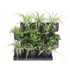 Vertical-Garden-CASCADE-Main-Image.png