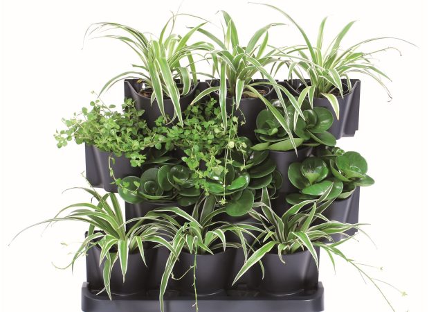 Vertical-Garden-CASCADE-Main-Image.png