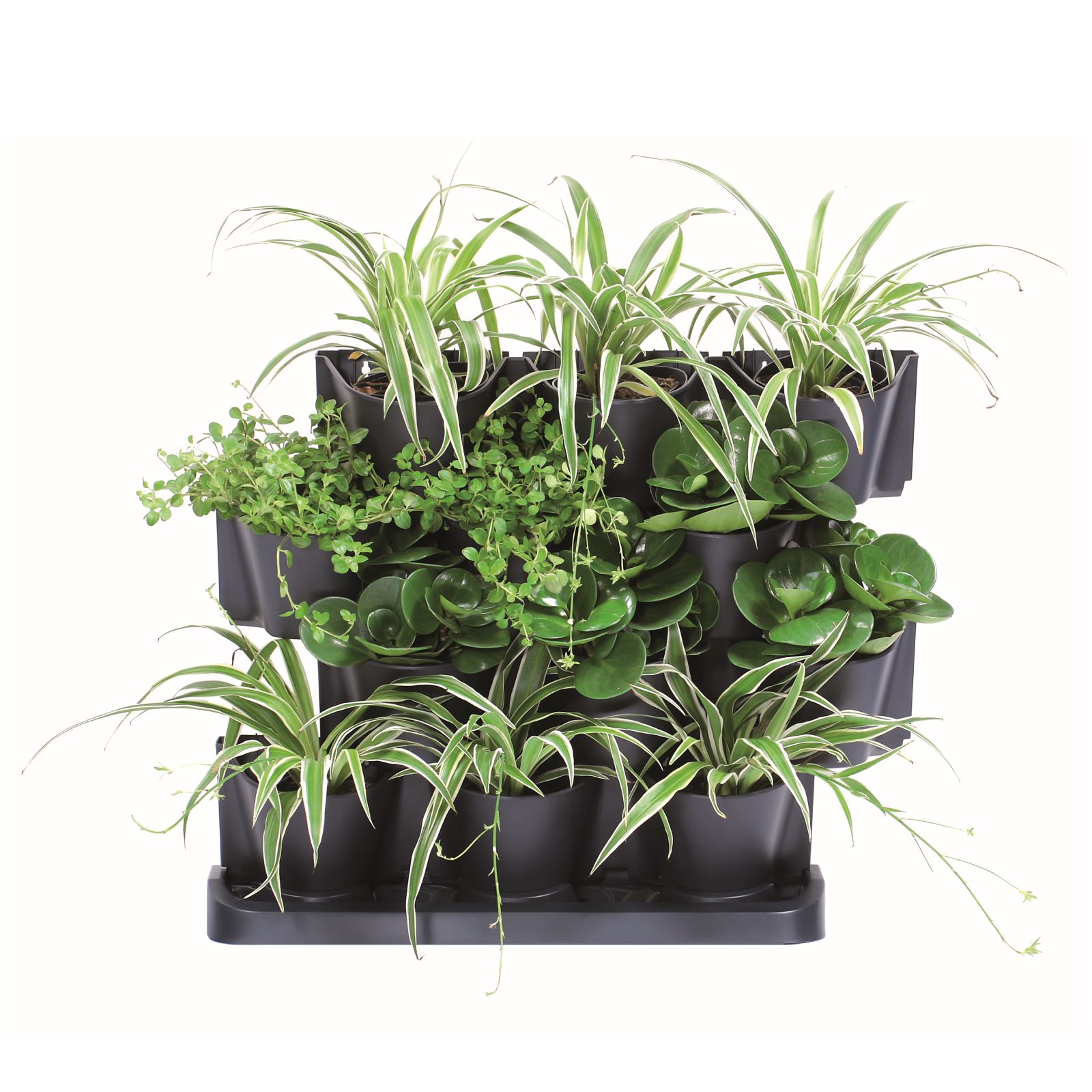 Vertical Garden CASCADE