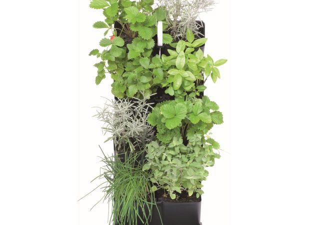 Vertical-Garden-MINI-CASCADE-Main-Image.png