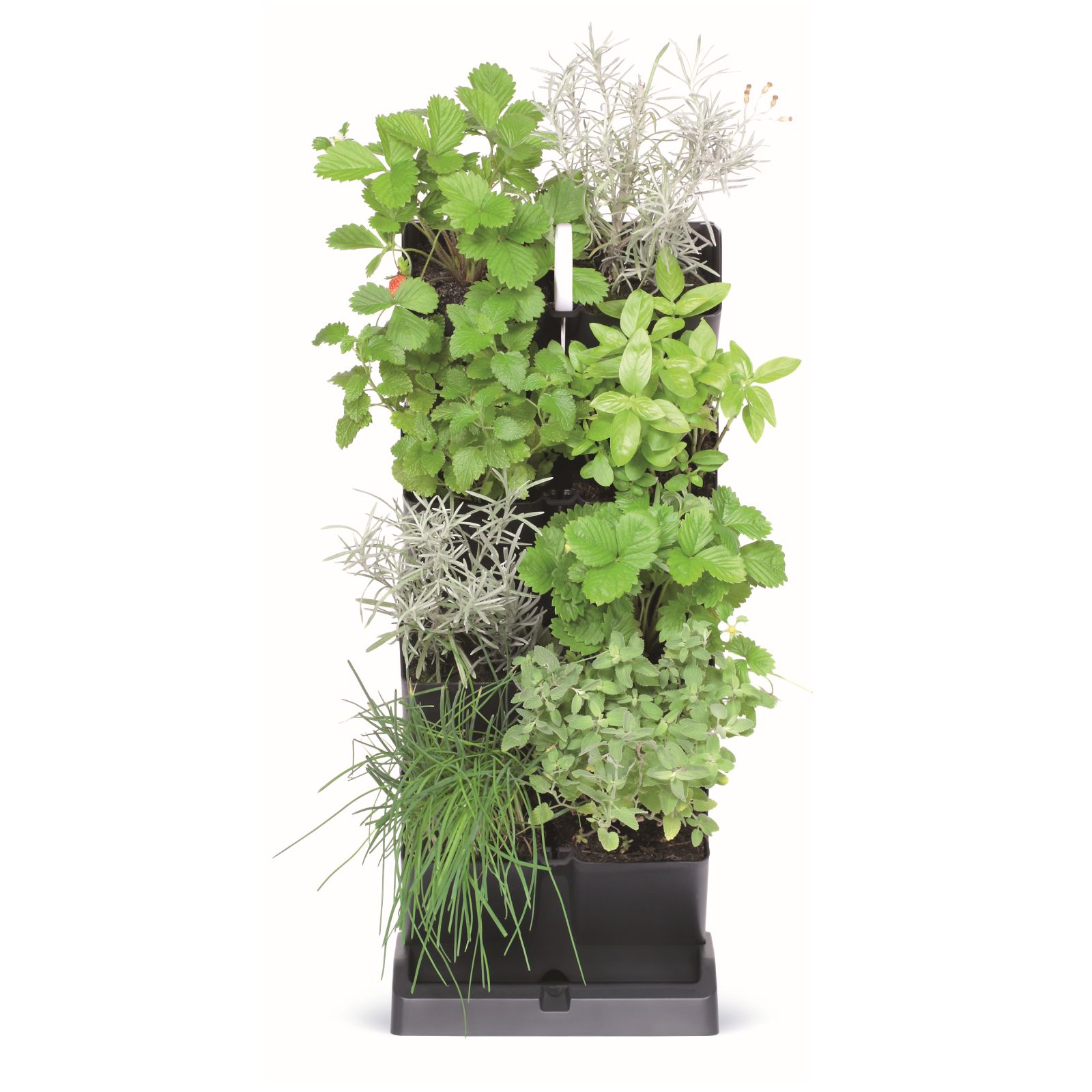 Vertical Garden MINI CASCADE